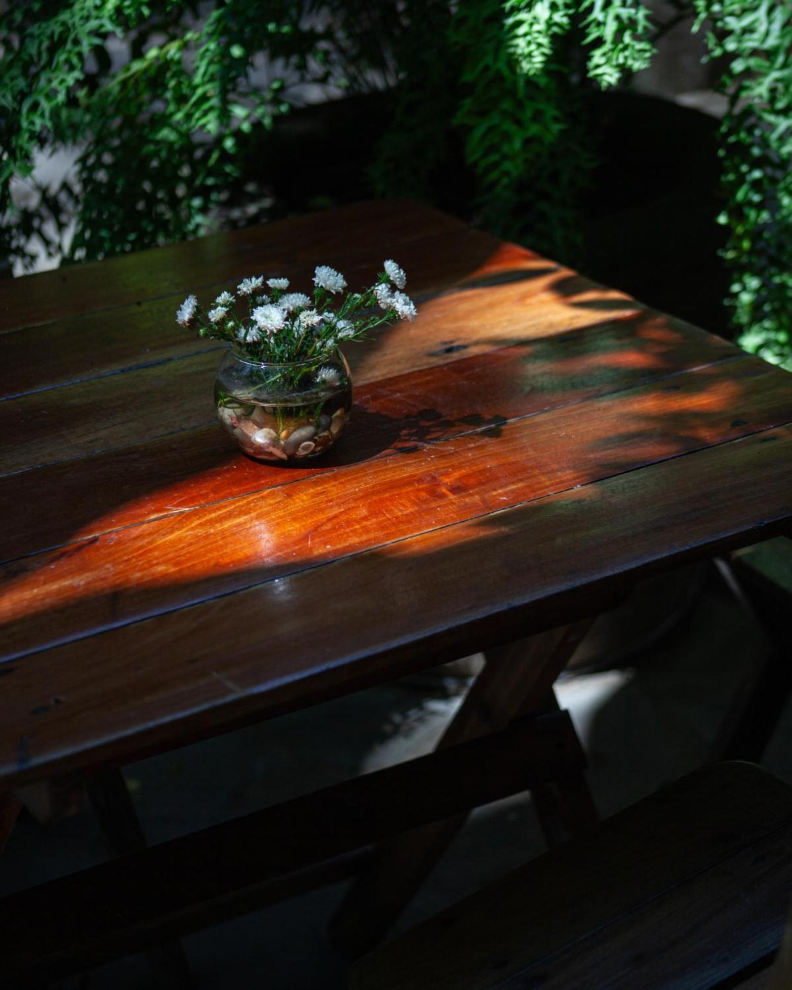 La Laguna Casa Marimba Bed & Breakfast エクステリア 写真