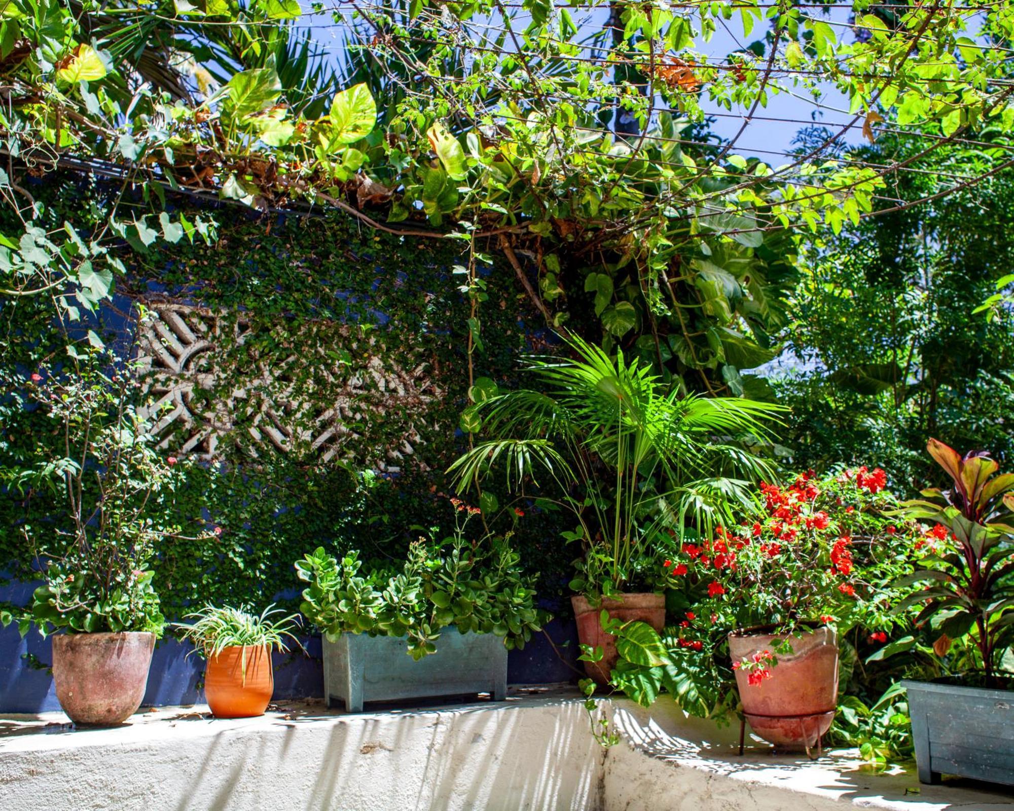 La Laguna Casa Marimba Bed & Breakfast エクステリア 写真